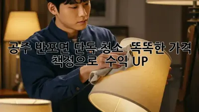 공주 반포면 단독 청소 ✨ 똑똑한 가격 책정으로 💰 수익 UP!