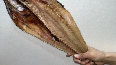 동태특대 득템 후기! 🐟 최고급 동태의 비밀